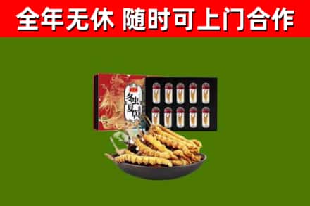 吴忠市回收冬虫夏草价格